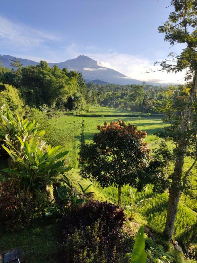 Aryasuta Bungalow Tetebatu Esterno foto