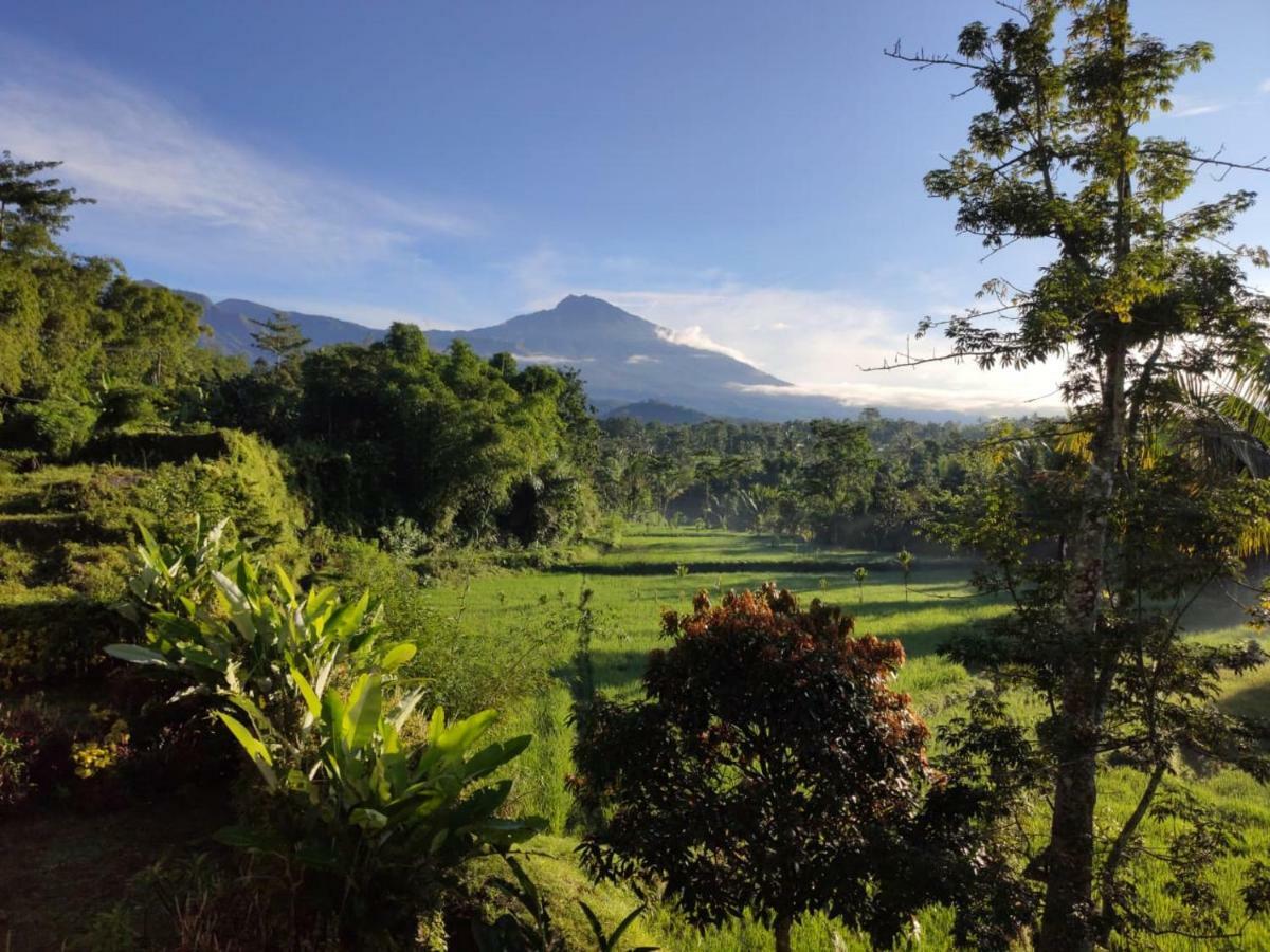 Aryasuta Bungalow Tetebatu Esterno foto