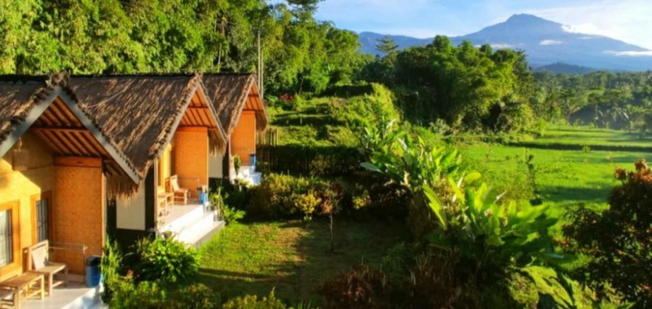 Aryasuta Bungalow Tetebatu Esterno foto