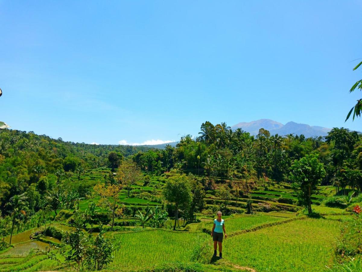 Aryasuta Bungalow Tetebatu Esterno foto